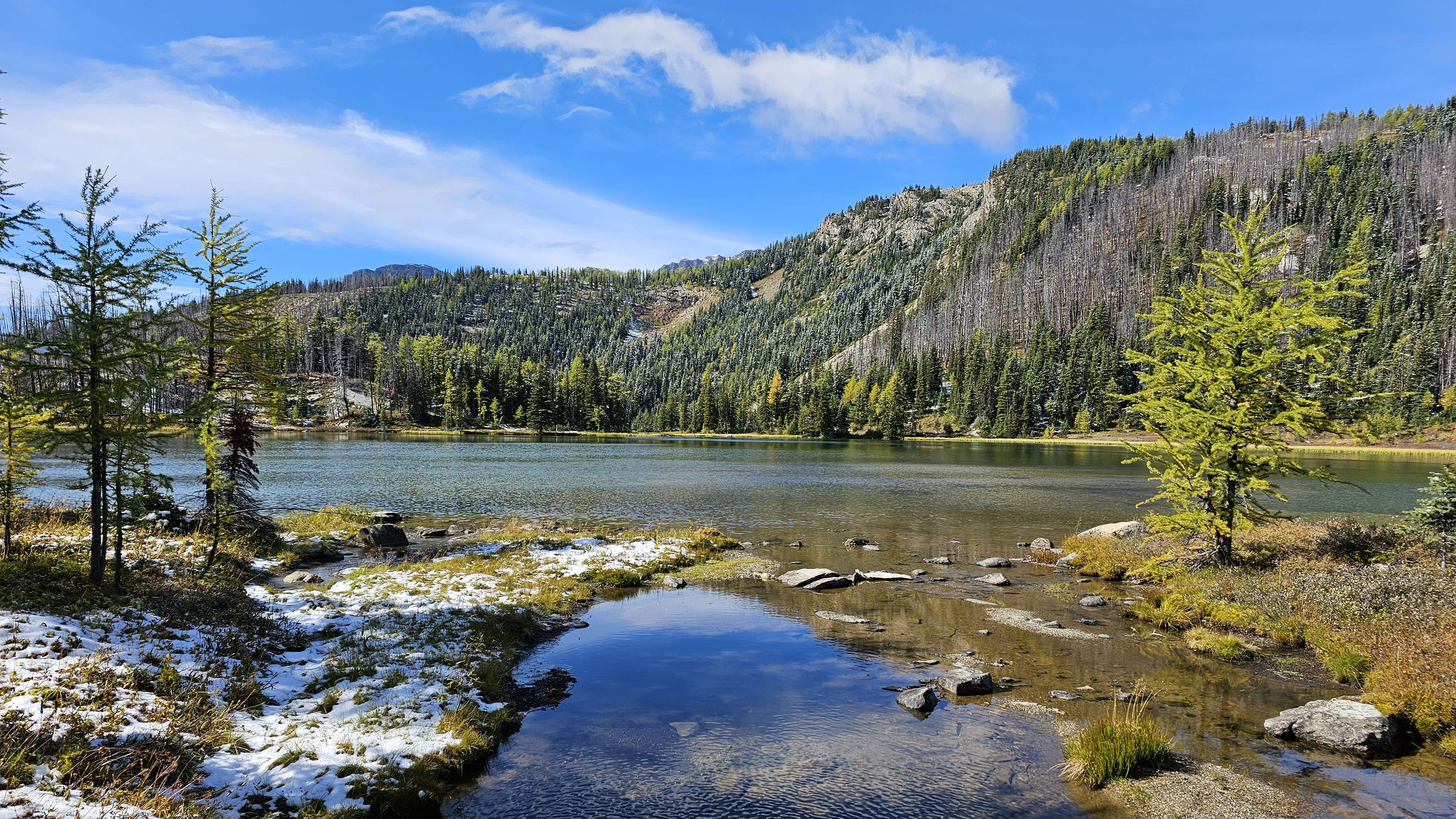 Sunshine Meadows